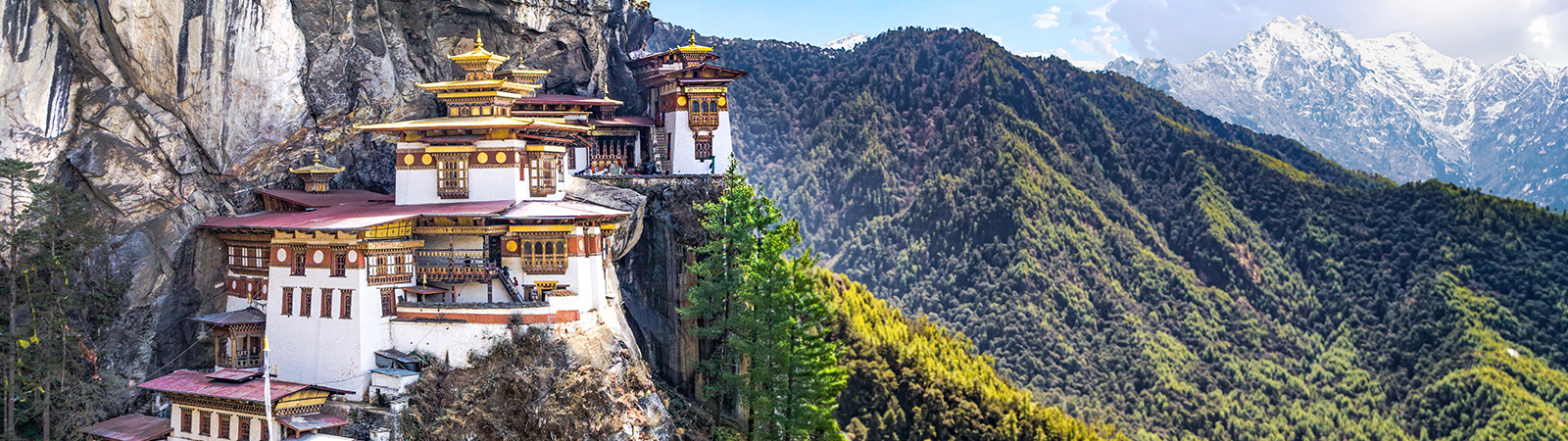 Tiger Nest