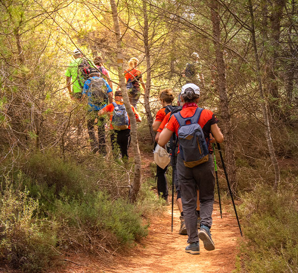 Adventure Tour